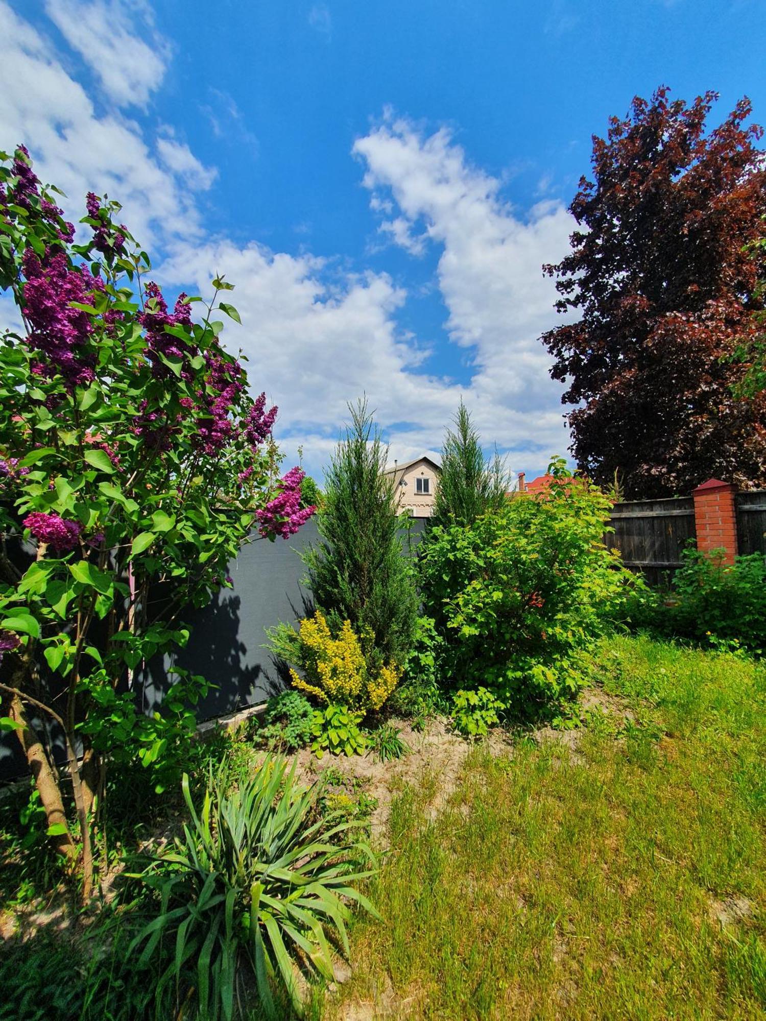 Dacha Koncha Zaspa Kozyn Esterno foto